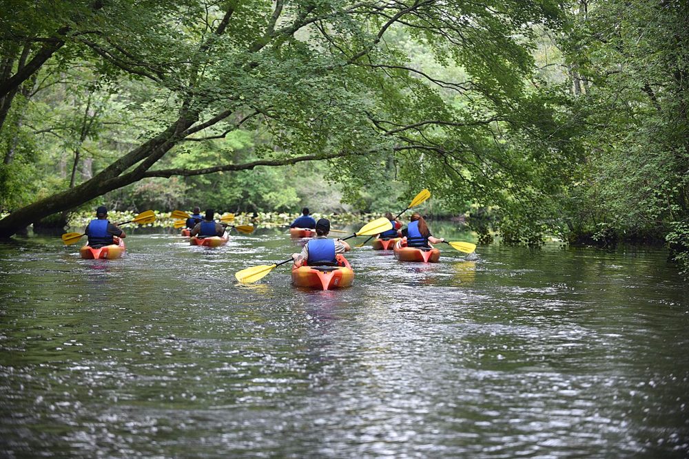 Kayakers at Pocomoke River State Park